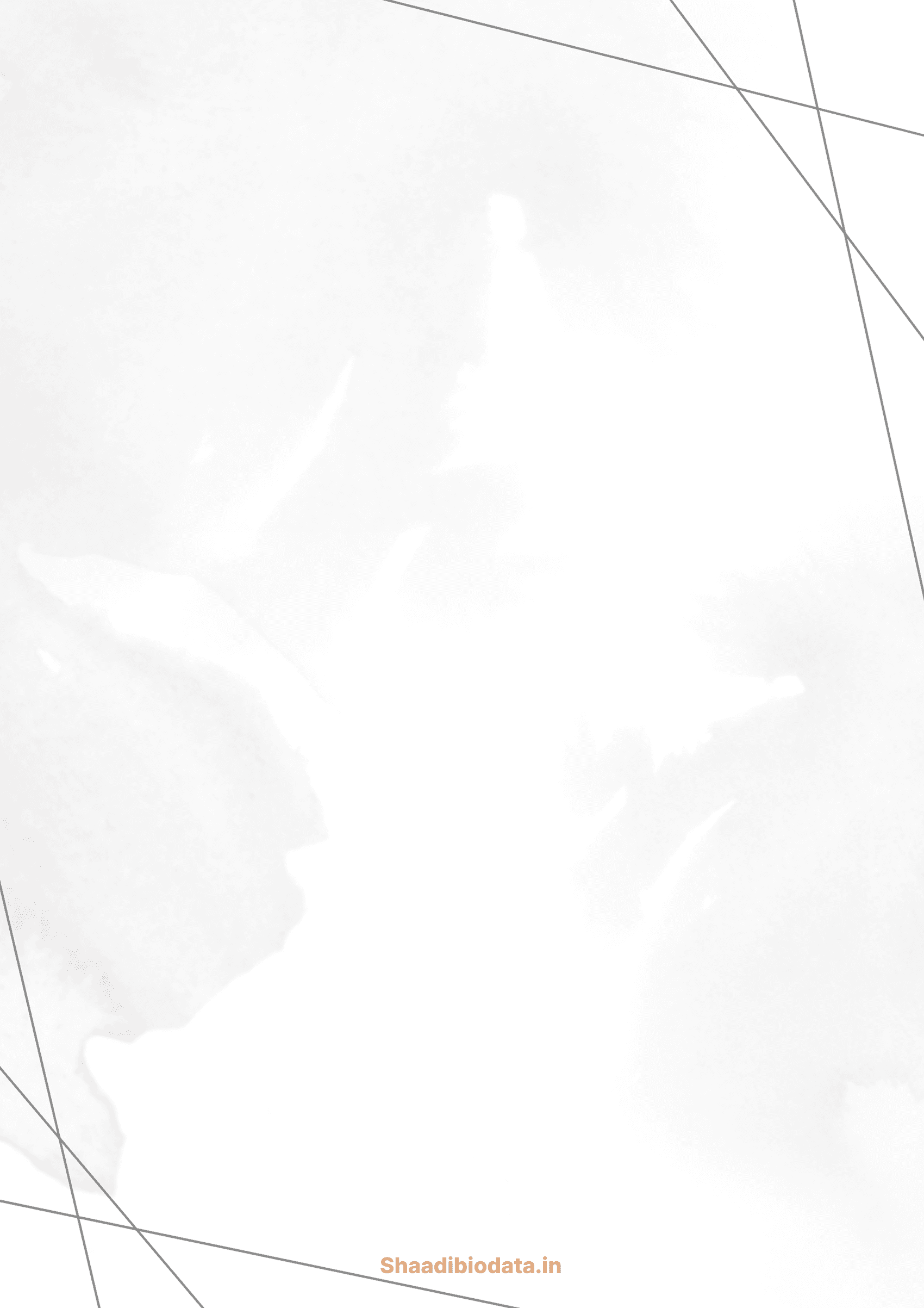 Classic bronze biodata template background