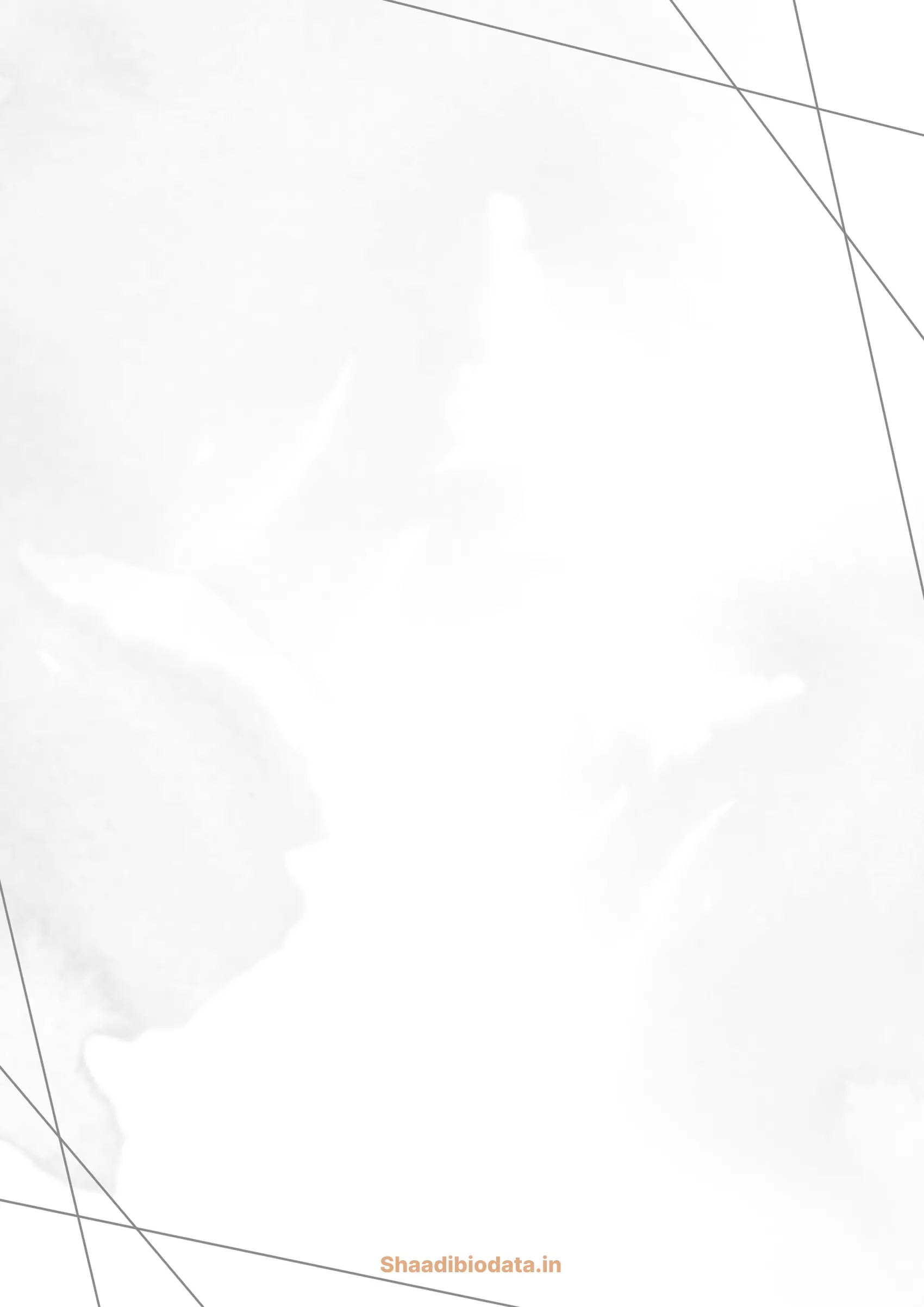 Classic bronze biodata template background