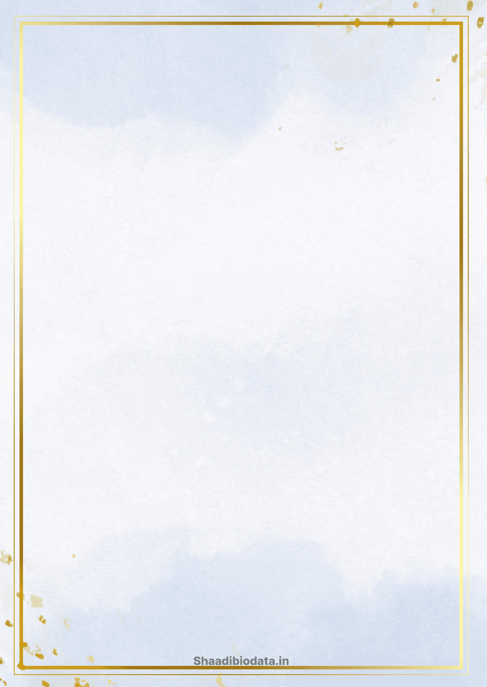 Frosted silver biodata template background