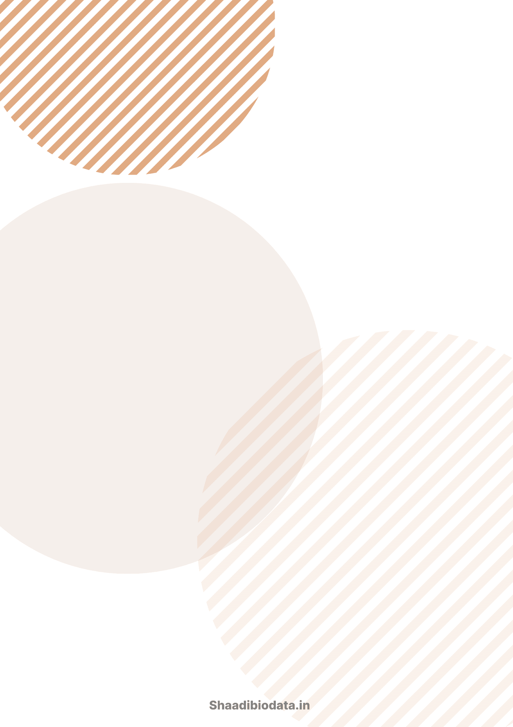 Neutral slate biodata template background