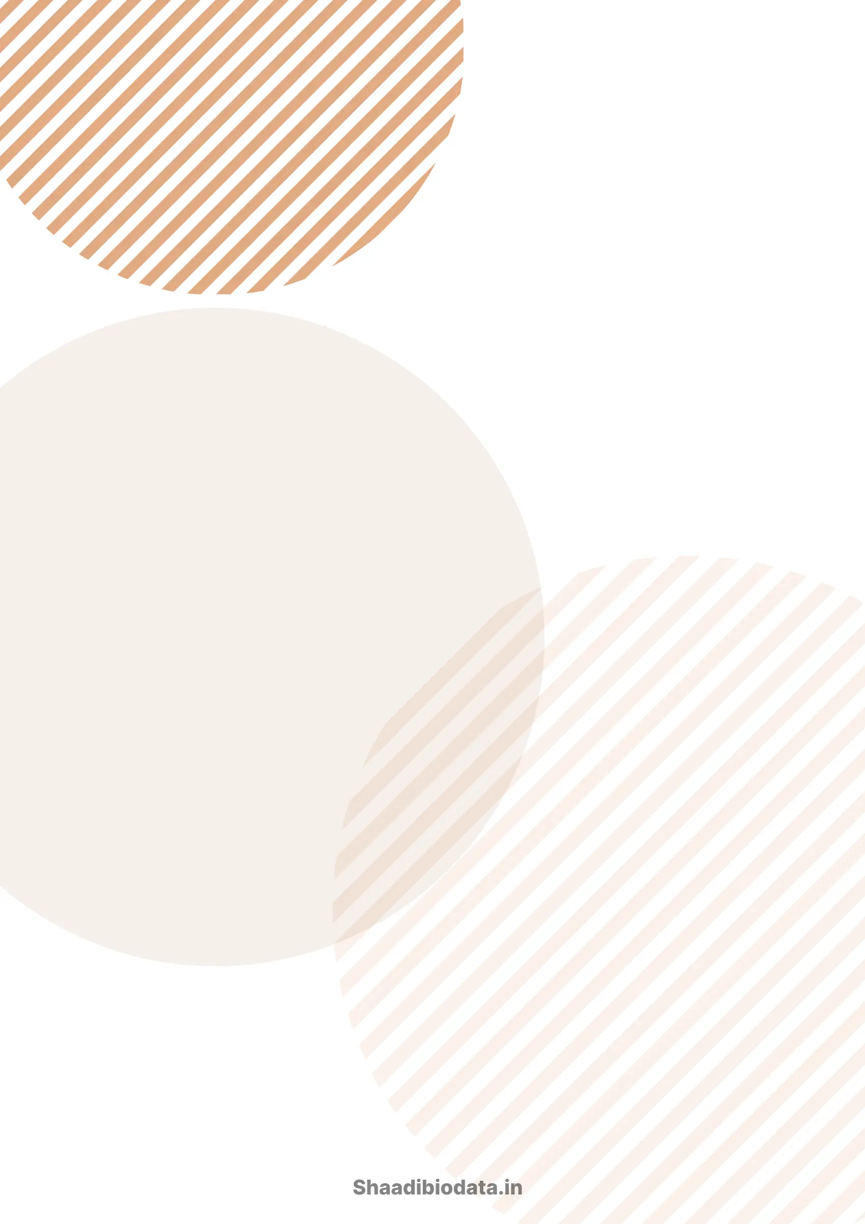 Neutral slate biodata template background