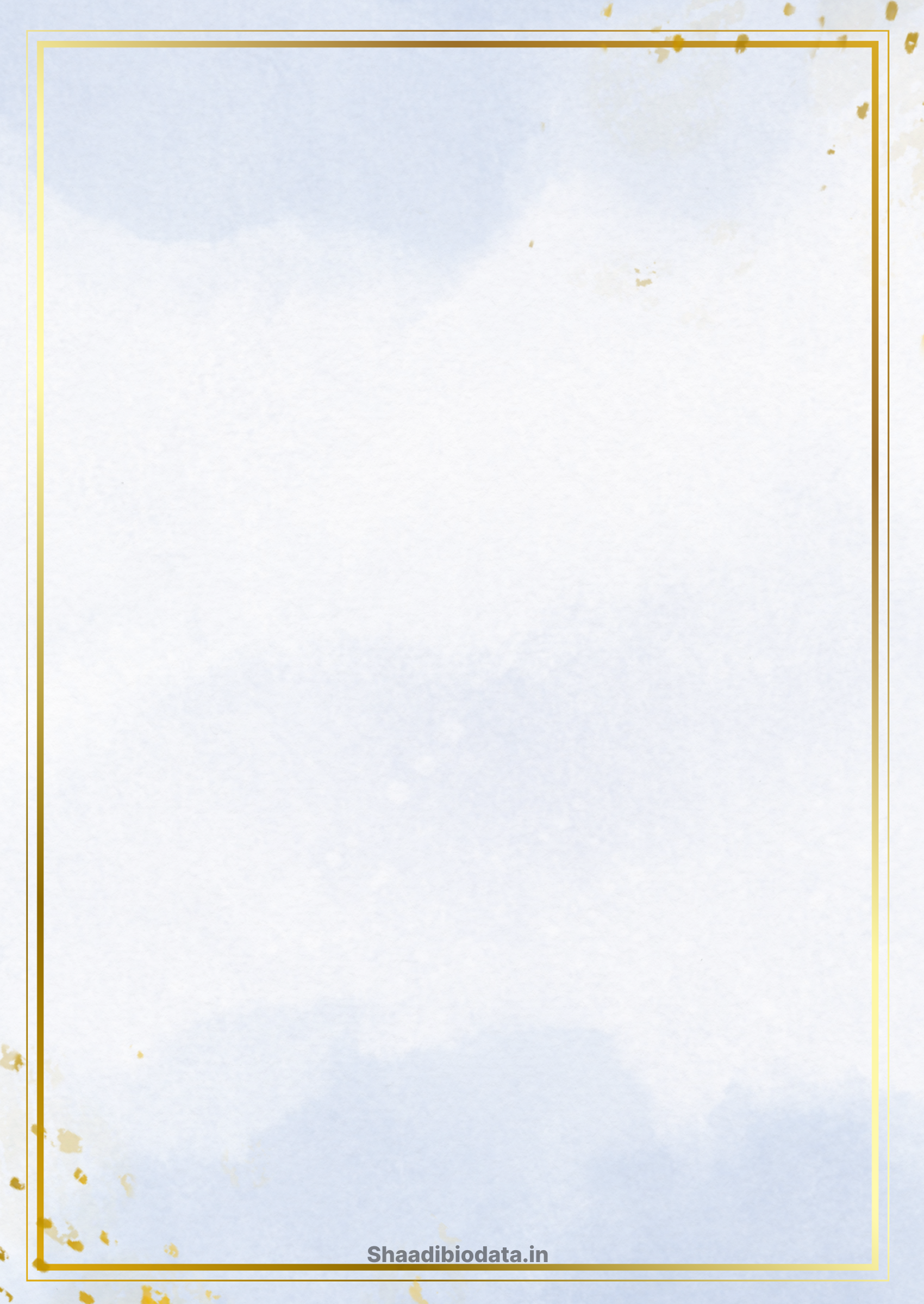 Frosted silver biodata template background